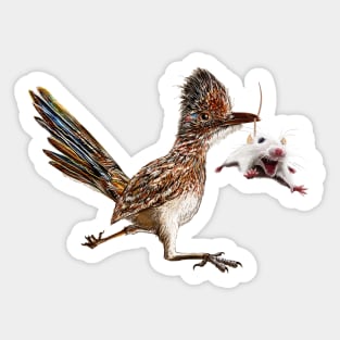 Roadrunner Mouse Hunter Sticker